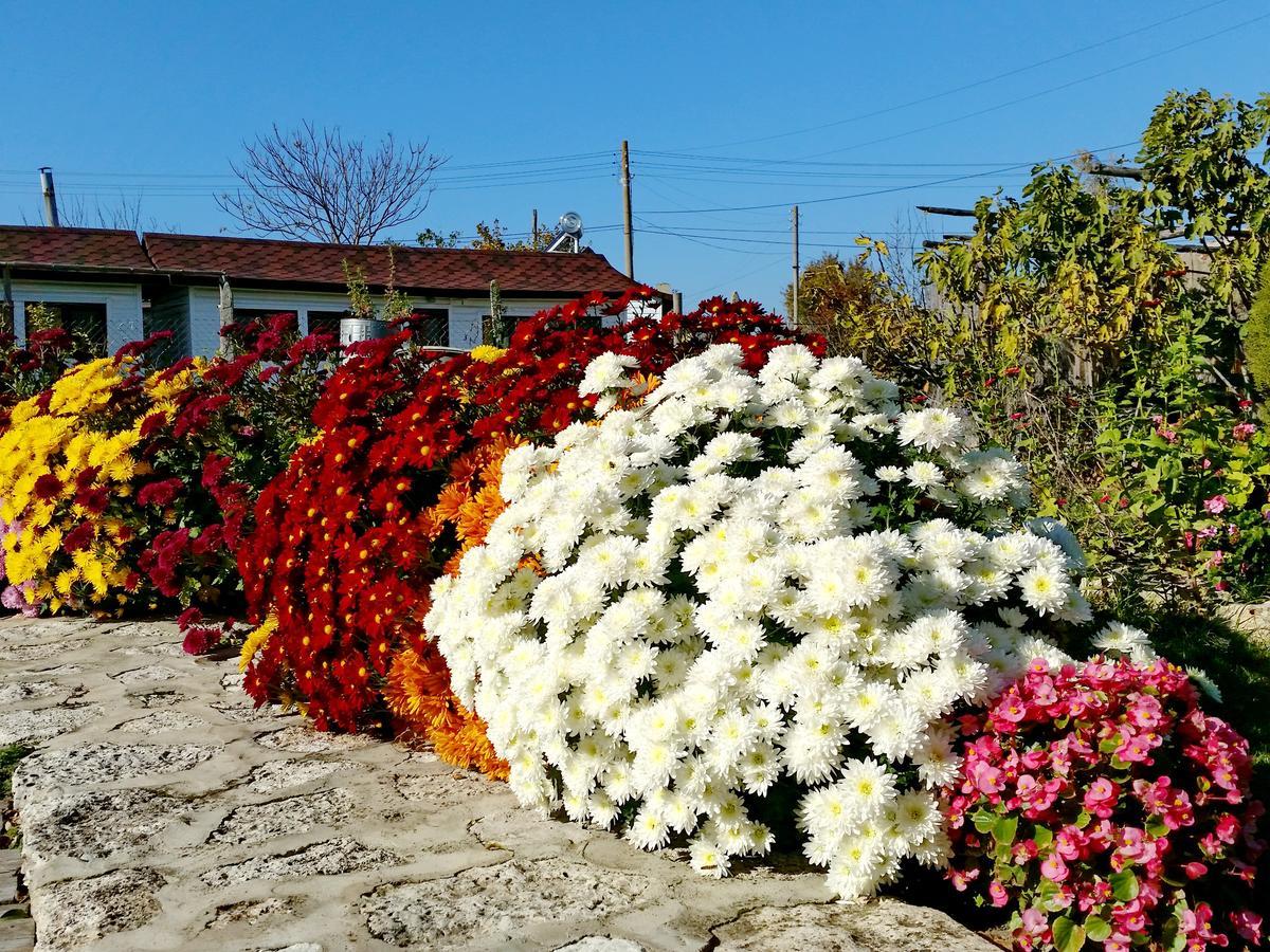 Kosta Bungalows Bŭlgarevo Dış mekan fotoğraf